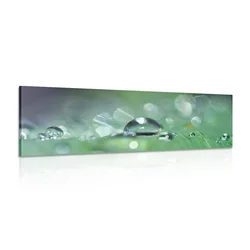Slika kaplja rose - 120x40