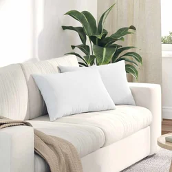 Jastučići za sofu 2 pcs Bijelo 60 x 40 cm tkanina