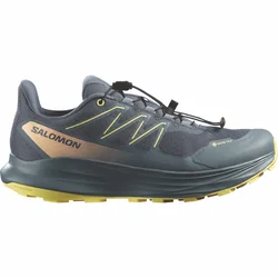 Salomon ALPHARIDE 2 GTX W, ženske patike za trail trčanje, siva L49128600