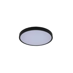 Rabalux LED Plafonjera Alenzo, 24W, DIP Switch 3000-6000K, 35.5cm, IP44, Crna