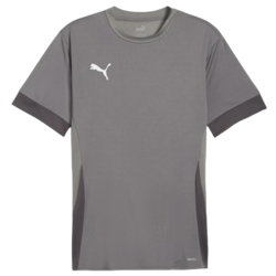 Dres Puma teamGOAL Matchday Jersey