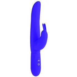 CalExotics Bounding Bunny