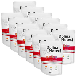 Dolina Noteci Premium Junior Rich In Beef Hearts 12 x 300 g