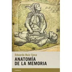 Anatomía de la memoria