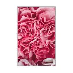 CONCEPTUM HYPNOSE Tepih (50 x 80) WOOKECE085
