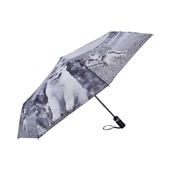 Deznik Odpri in zapri sistem UMBRELLA AND MORE 96 cm Psi in Macke 3