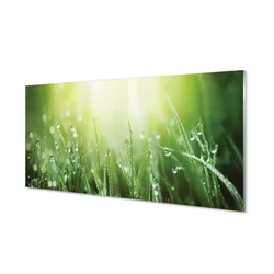 tulup.si Slika na steklu Grass sonce kapljice 140x70 cm 2 obešalnika