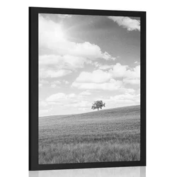 Plakat čudoviti sončni dan na travniku v črnobeli varianti - 20x30 black