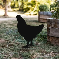 Atelier Del Sofa Dekorativna figura Chicken 01, 64x42 cm, 1.5 mm