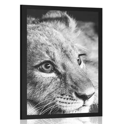 Plakat levji mladič v črnobeli varianti - 20x30 no frame