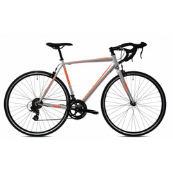 CAPRIOLO Bicikl ECLIPSE 4.0 siva (923616-54)