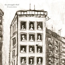 Pineapple Thief - 10 Stories Down (Limited Edition) (20th Anniversary) (Marble Coloured) (LP)
