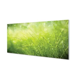tulup.si Slika na steklu Grass rosišča kapljic 140x70 cm 2 obešalnika