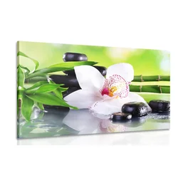 Slika japonska orhideja - 90x60