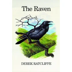Raven