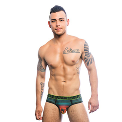 California Sunset Mesh Brief