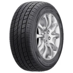 AUSTONE SP-303 ( 255/65 R17 110H )