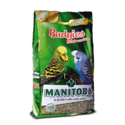 Manitoba Best Premium Budgies Cocorite Hrana za tigrice, 1kg