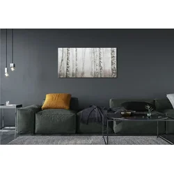 tulup.si Slika na platnu Breza megla 120x60 cm
