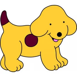 All about Spot