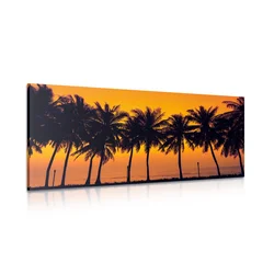 Slika sončni zahod nad palmami - 80x40