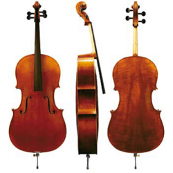 Violončelo Maestro 6 Gewa – različni modeli