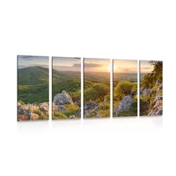 5-delna slika narava obsijana s soncem - 100x50