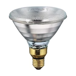 Edm Žarnica Philips E27 175 W