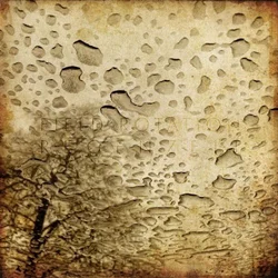 Field Rotation - Regenzeit (Limited Edition) (10)