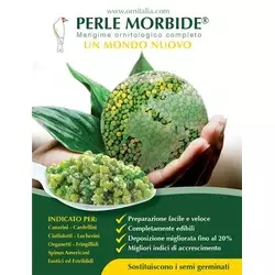 PERLE MORBIDE - ZELENE 4 kg