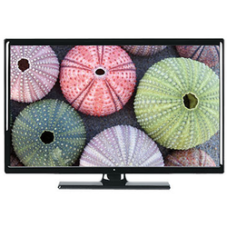TV 24 inch LED VOX 24880