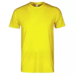 Majica kratkih rukava PAYPER PRINT Boja: Žuta Veličina: 2XL