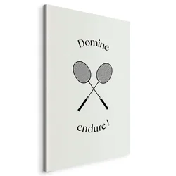 shumee Slika - Črni badmintonski loparji