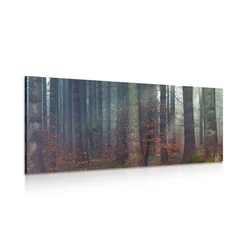 Slika skrivnost lesa - 80x40