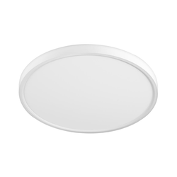 Top Light - LED plafonsko svetlo REVIT LED/24W/230V prečnik 30 cm belo