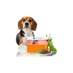 DERMOSCENT Ampula za pse 10-20kg Essential 6 spot-on 1.2ml