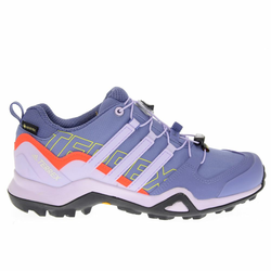 Adidas Cipele Terrex Swift R2 Gtx W Fz3010