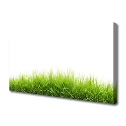 tulup.si Slika na platnu Grass nature rastlin 120x60 cm