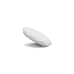 LED plafonsko svetlo LED/36W/230V 3000/4000/6000K O 49 cm