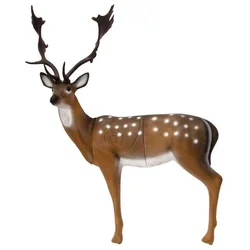 3D SRT FALLOW DEER – DAMJEK