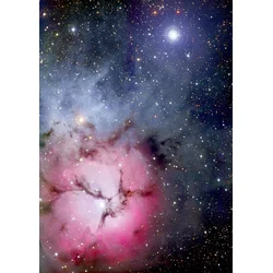 Enjoy - Puzzle Meglica Trifid - 1 000 kosov
