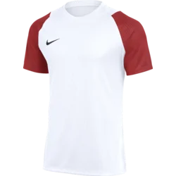 Nike Dres Dri-FIT Academy II