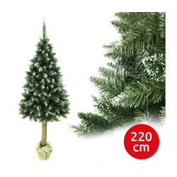 Božićna jelka na deblu, 220 cm, jela