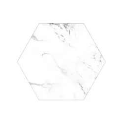 Calacatta Hexagonal 22x25