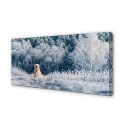 tulup.si Slika na platnu Zimska planšarski pes 100x50 cm