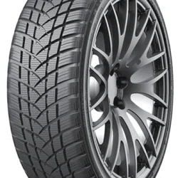 GT Radial WinterPro2 ( 215/70 R16 100H )