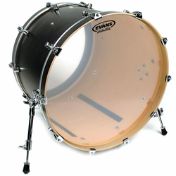 Evans 20 Genera G1 Clear Bass