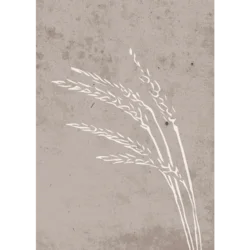 Venture Design Poster Seeds 50x70 cm Bež
