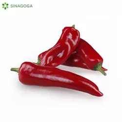 PAPRIKA SVEZA CRVENA POVOC
