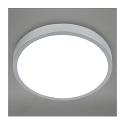 Briloner 3709-014 - LED RGBW prigušiva stropna LED svetiljka LED/22W/230V srebrna + daljinski upravljač